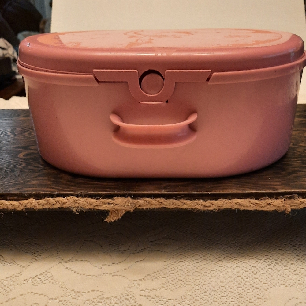 Duplo Carrying Storage Container